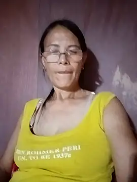 toyo_668 webcam