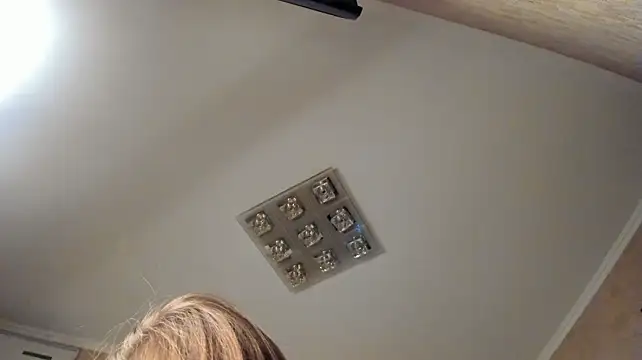 Diamond_D_ webcam