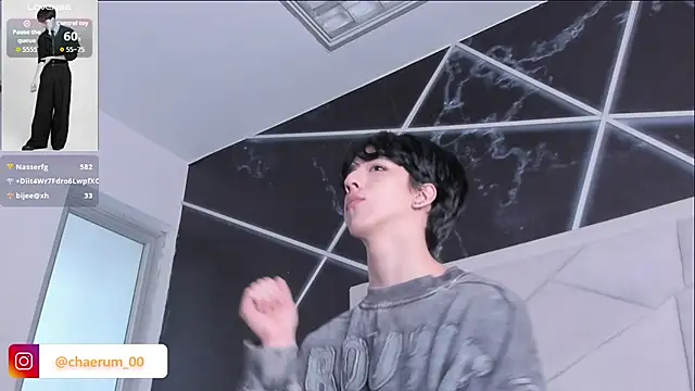 AerumChae webcam