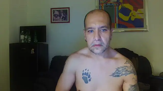 AMIRDIB2025 webcam