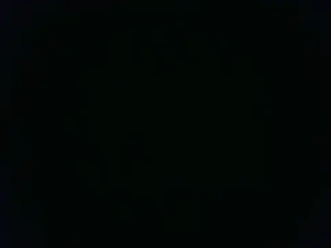 Dalgis webcam