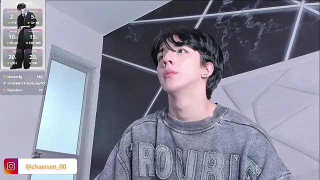 AerumChae webcam