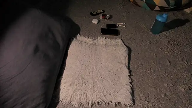 RODARRI webcam
