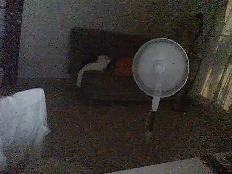 thekeys webcam