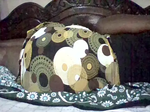 missarpie webcam