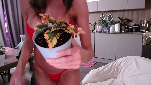 Hurricane_Kat webcam