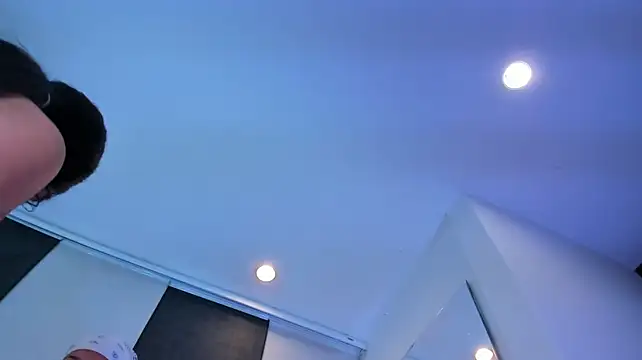 kittens_with_madamS webcam