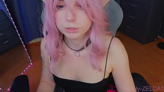 zelda_1 webcam