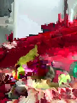 brobei webcam