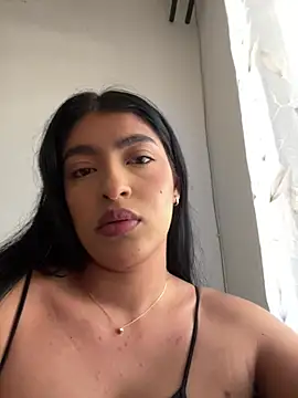 Misty-kat webcam