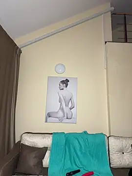 Alimela webcam