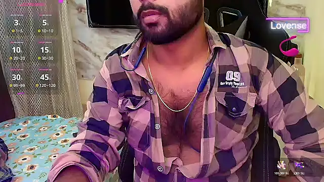 SilverShade3 webcam