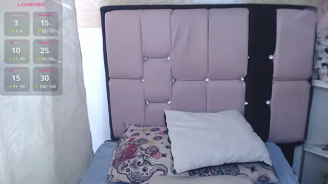 palmer_mIix webcam
