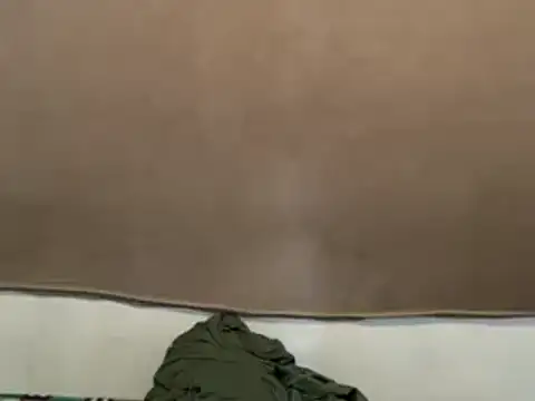TsAlexa_Foxxx webcam