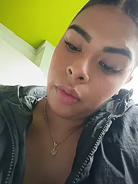 SOFIA-11_ webcam