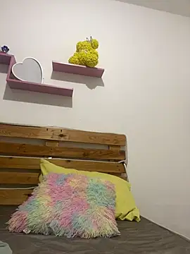ELY_FE_ webcam