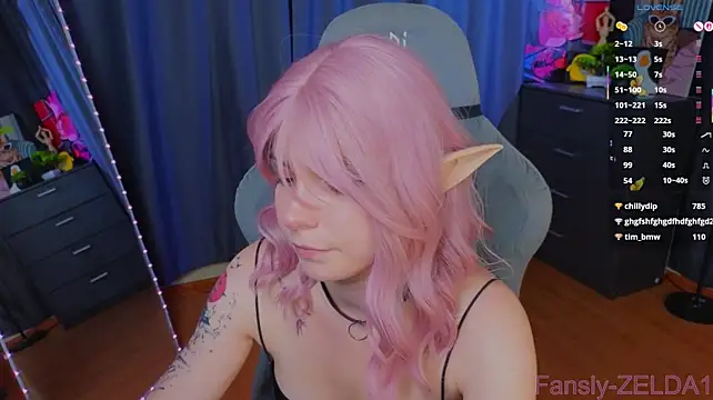 zelda_1 webcam