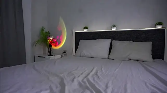 DeeannLaclair webcam