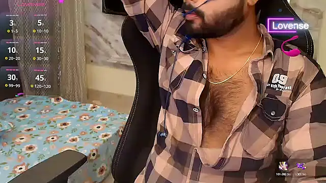 SilverShade3 webcam