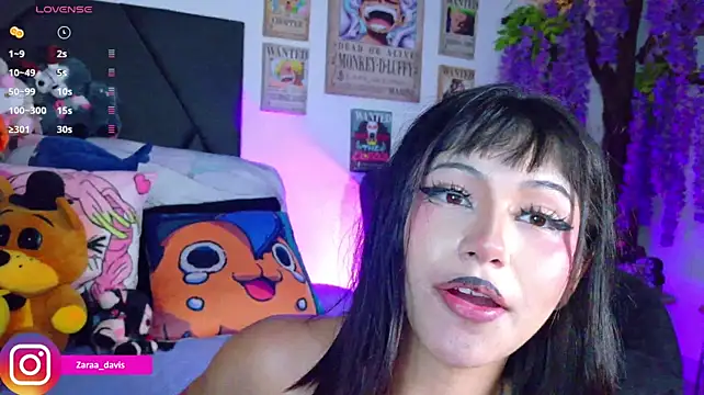 Zaradavis webcam