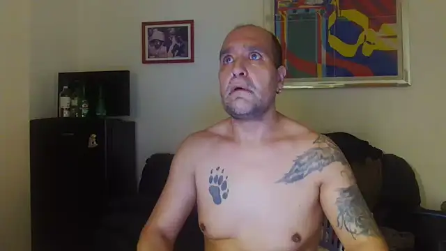 AMIRDIB2025 webcam