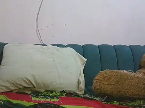 shugabaibe webcam