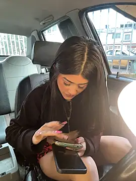 Chanel-fire webcam