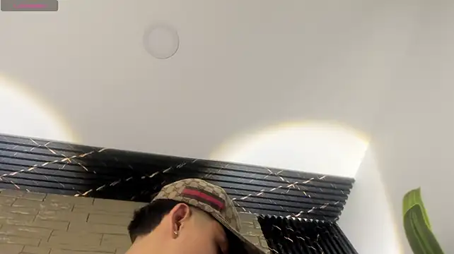 Lander_Cruz webcam