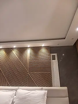 Alexa_poppper webcam