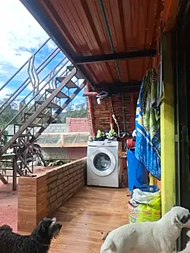 amazonafit_ webcam