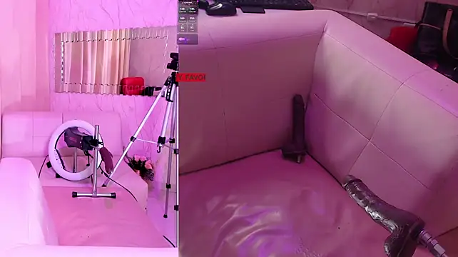 DannaScully_ webcam