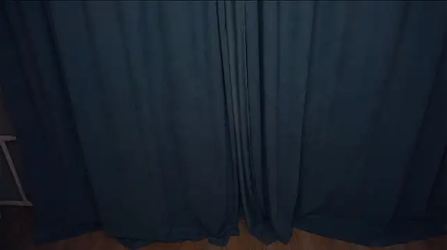 VinaLapid webcam