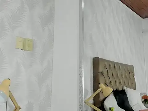 namelyx_canva webcam