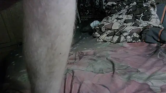 FillipsonDon webcam