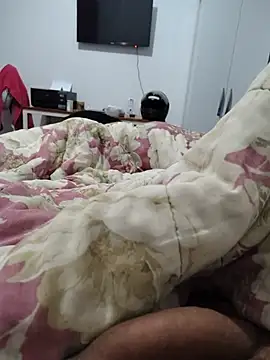 Willdpo webcam