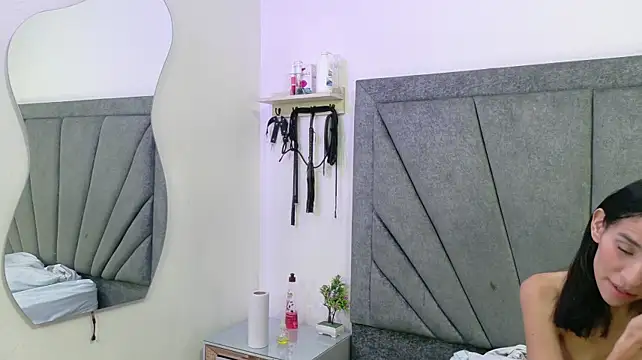 ThreeForFun_OS webcam