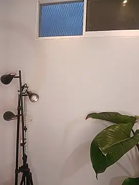 Alexa_poppper webcam