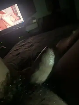 Perk_S webcam