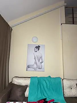 Alimela webcam