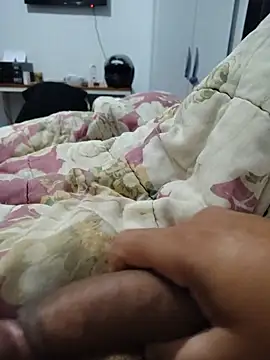 Willdpo webcam
