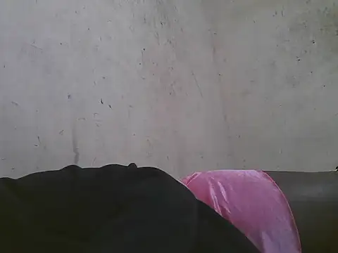 FOXY-DOLLY webcam