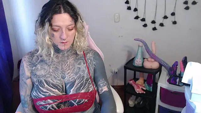 SLOPPYTITSS webcam