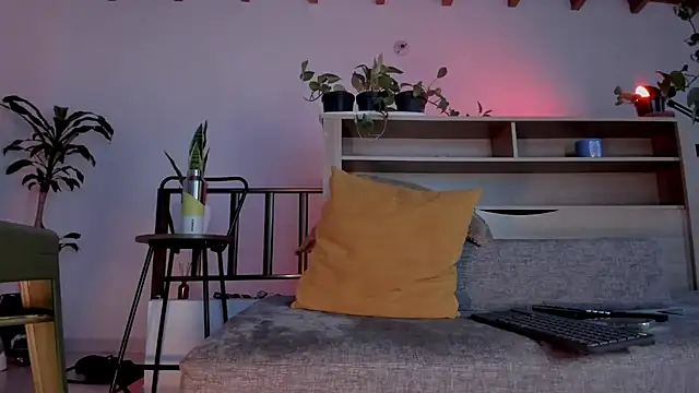 bruno_woods webcam