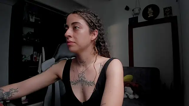 star_shooting8 webcam