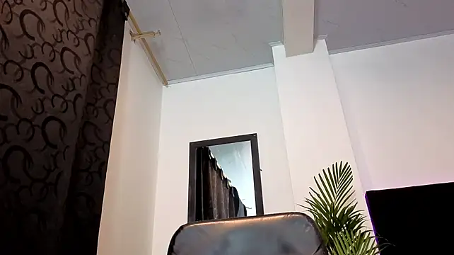 Noha-Wolf webcam