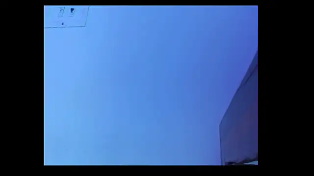 aria1609 webcam