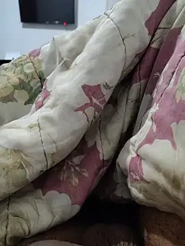 Willdpo webcam