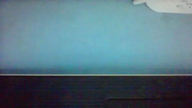 bartolik06 webcam