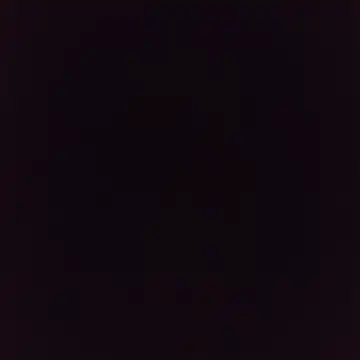 ti_95 webcam