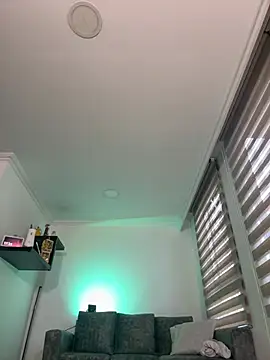 dereckgreen webcam